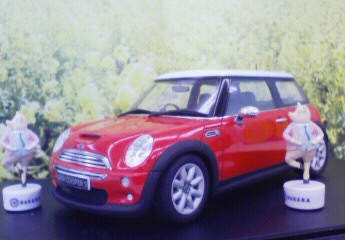 mini